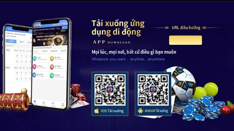 Tại Sao Tải App QH88 Lại Quan Trọng Cho Mọi Bet Thủ?