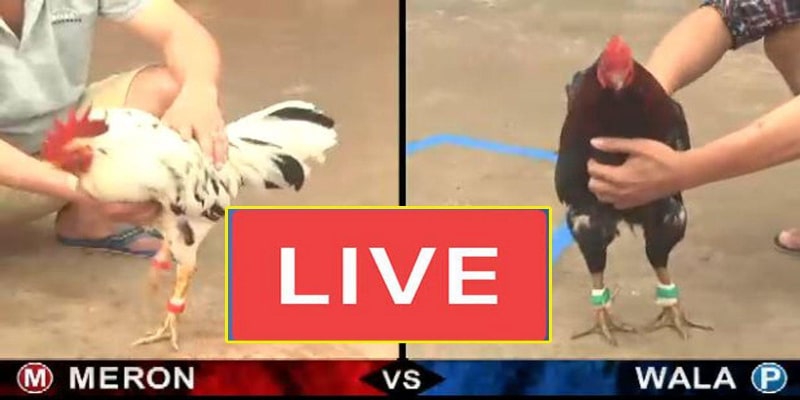 da-ga-77win-ghi-chu-lich-su